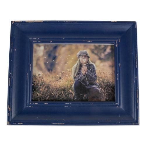 Rosecliff Heights Syrna Beveled Wood Single Picture Frame & Reviews | Wayfair
