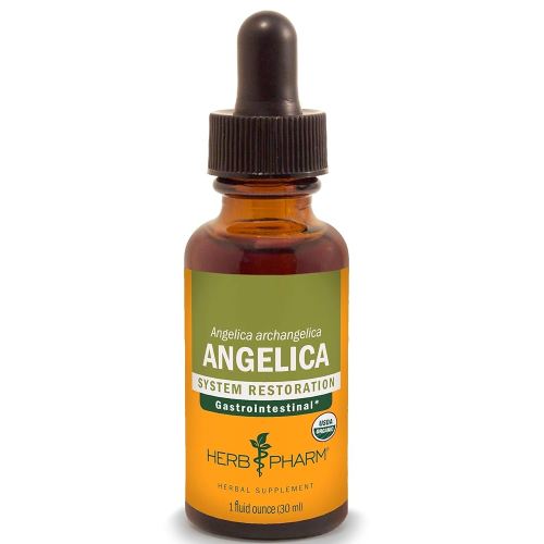 Herb Pharm Certified Organic Angelica Root Liquid Extract for Digestive Support, 1 Fl Oz