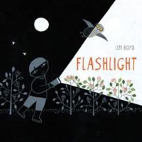 Giochi di luce book by Lizi Boyd
