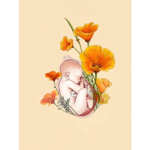 $11120 Homebirth Fund