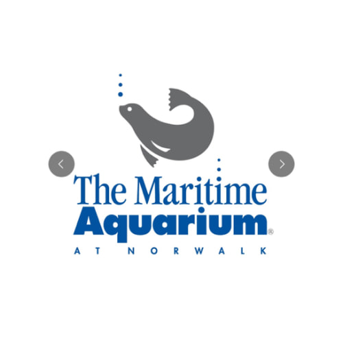 Maritime Aquarium Norwalk $80