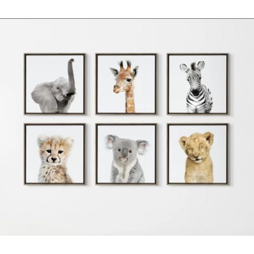 'Safari Animals' by Amy Peterson - Floater Frame Graphic Art Print on Canvas