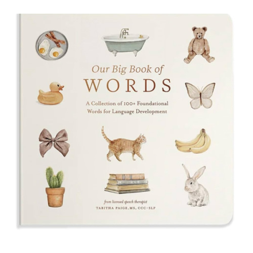 Our Big Book of First Words: A Collection of 100+ Foundational Words for Language Development (Our Little Adventures Series)