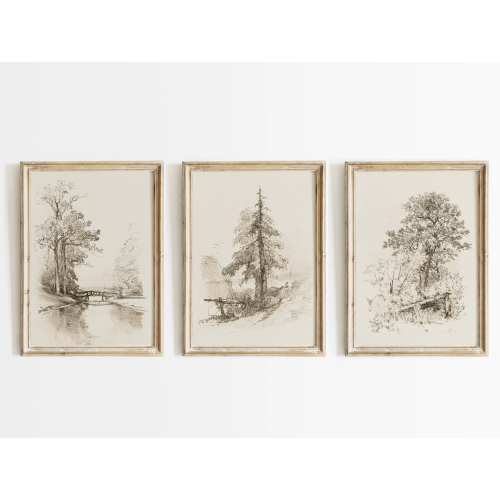 Vintage Forest Print Set Neutral Farmhouse Decor Rustic Wall Art Nature Poster Vintage Drawings Landscape Sketch Art Tree Prints