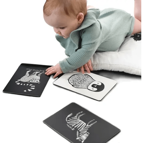 Wee Gallery Black and White Art Flash Cards for Babies, High Contrast Educational Animal Picture Cards, Baby Visual Stimulation, Brain and Memory Development in Infants and Toddlers - B&W Animals