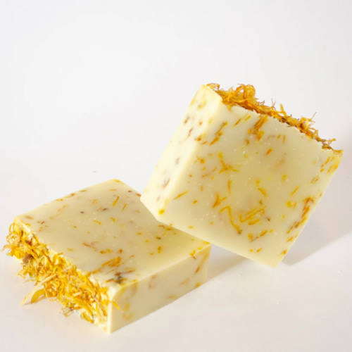 Calendula