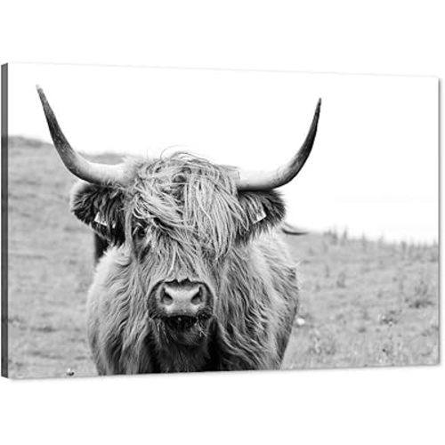 Highland Cow Pattern Canvas Wall Art Farmhouse Prints Photo Contemporary Animal Cow Decor Oil Paintings for Living Bedroom Wall Decor Wood Frame Artwork Stretched Gallery Wrapped - 36''W x 24''H