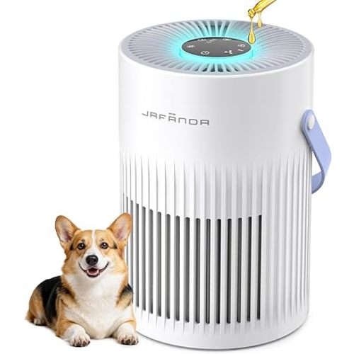 Air Purifers for Home, Hepa Air Purifier for Bedroom, Air Cleaner for Pet Dander, Quiet Sleep Mode, Portable Air Purifier for Office, Odor, Dust, Smoke (White)