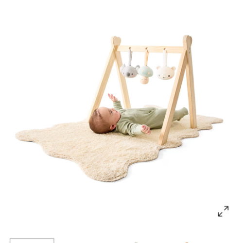 Gym Toy Accessories