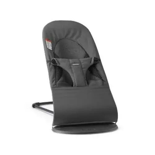 baby bjorn bouncer - Google Search