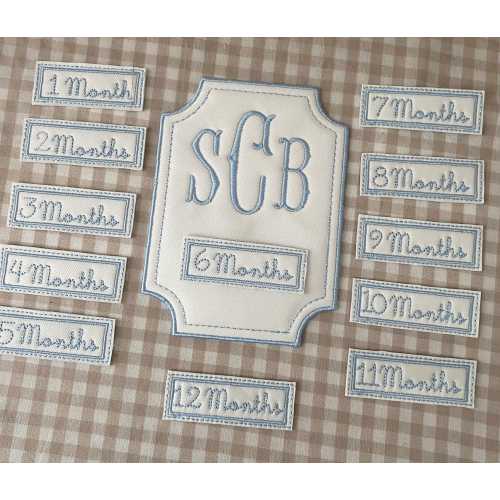 Embroidered Baby Milestone Cards, Monogrammed Monthly Cards, Blue White Fabric Nursery Decor