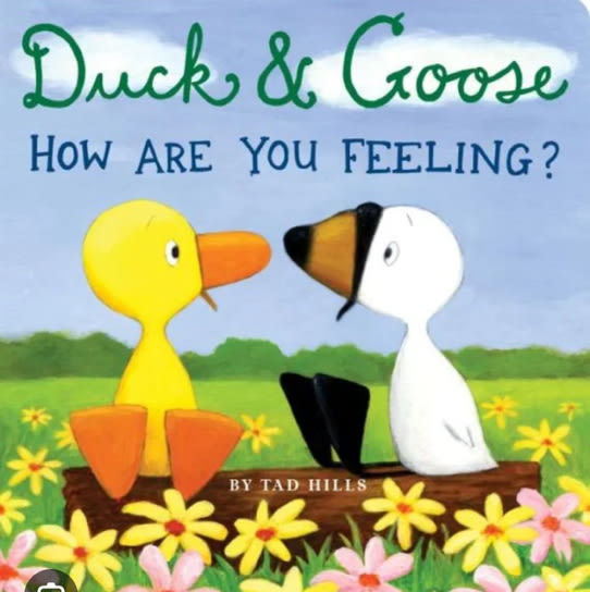 Duck & Goose, How Are You Feeling?