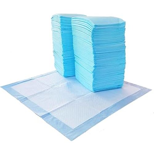Amazon Basics Dog and Puppy Pee Pads with 5-Layer Leak-Proof Design and Quick-Dry Surface for Potty Training, Regular, 22 x 22 Inch, Scented, Pack of 100, Blue & White