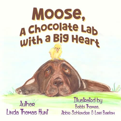 Moose, A Chocolate Lab with a Big Heart