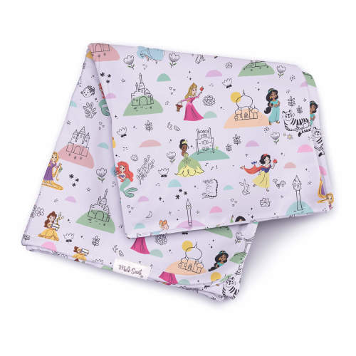 DISNEY PRINCESS PARTY BLANKET