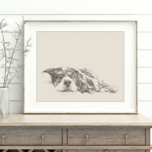 20x16 Cavalier King Charles Spaniel Art Print by Artist, Ethan Harper. Dog Drawing Wall Decor.