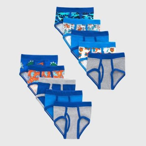 Hanes Toddler Boys' Briefs - Blue