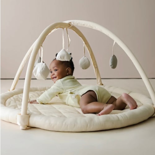 Snuggle Me Play Gym