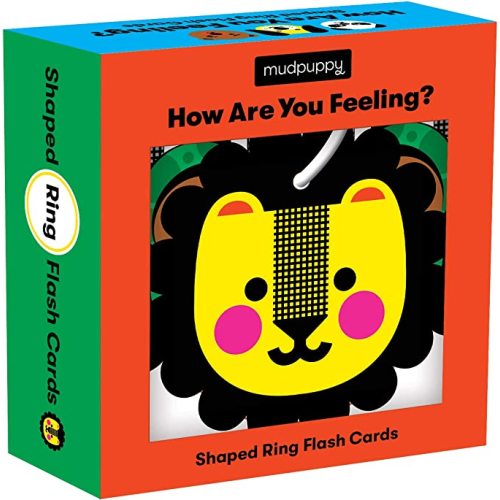 How Are You Feeling Shaped Ring Flash Cards by Mudpuppy