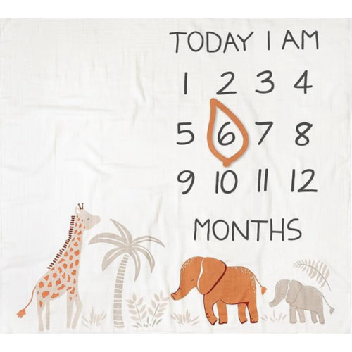 Modern Moments by Gerber Muslin Milestone Blanket with Felt Month Marker Frame