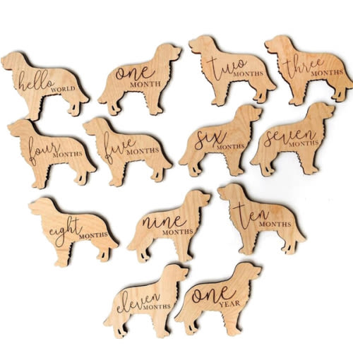 Golden Retriever Baby Milestone Plaques 7pcs 5in, Dog Nursery Gift, Custom Newborn Gift