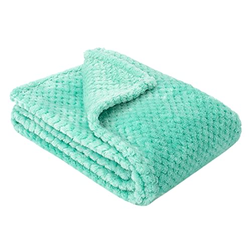 Fuzzy Blanket or Fluffy Blanket for Baby, Soft Warm Cozy Coral Fleece Toddler, Infant or Newborn Receiving Blanket for Crib, Stroller, Travel, Decorative (28Wx40L, XS-T Blue)