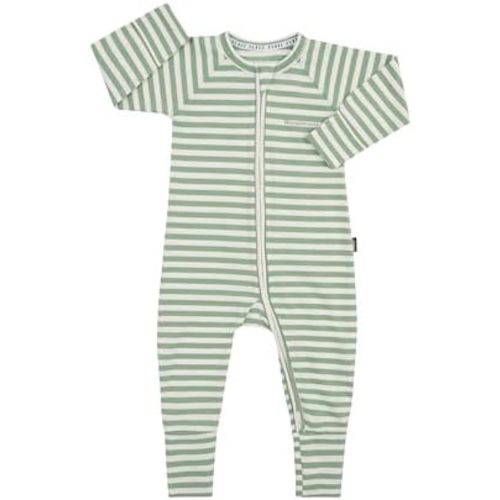 Bonds Baby Zippy Wondersuit - Green/White Stripe
