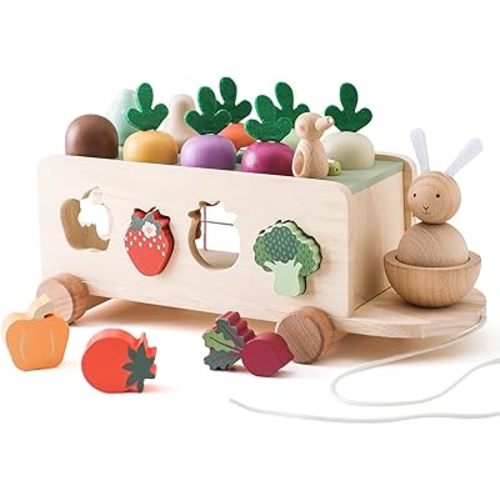 Toddlers Montessori Toy Wooden Educational Toys for Baby Boys Girls Shape Sorting & Matching Fine Motor Skills Toy Birthday Gifts for Kids