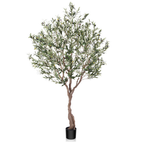Primrue Adcock 7ft Faux Olive Tree in Pot, Artificial Olive Plants for Home & Office, Potted Olive for Decor & Reviews | Joss & Main