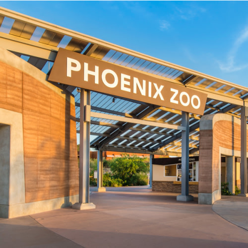 Phoenix Zoo Memberships
