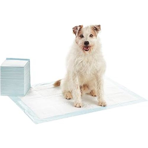Amazon Basics Dog and Puppy Pee Pads with 5-Layer Leak-Proof Design and Quick-Dry Surface for Potty Training, Heavy Duty Absorbency, X-Large, 28 x 34 Inch - Pack of 25, Blue & White