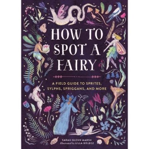 How to Spot a Fairy - by Sarah Glenn Marsh (Hardcover)