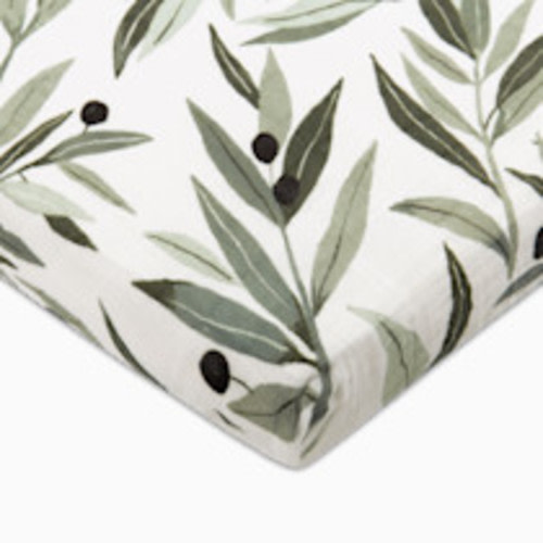 Babyletto Midi Crib Sheet - Olive Branches