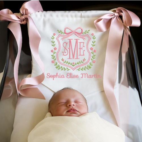 Baby Girl Announcement Banner