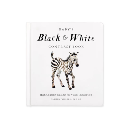 Baby's Black and White Contrast Book: High-Contrast Art for Visual Stimulation at Tummy Time (Our Little Adventures Series)