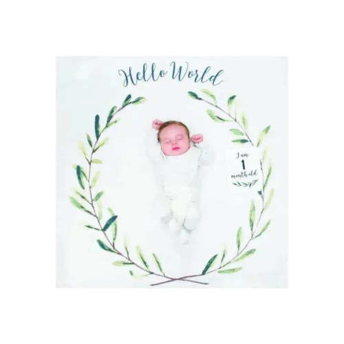 Mary Meyer - Lulujo Baby’s First Year Blanket & Cards Set, “Hello World”