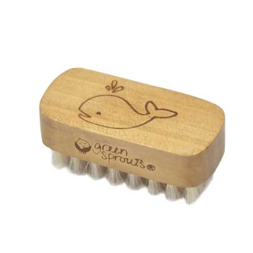 Green Sprouts Baby Nail Brush