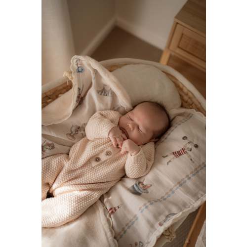Le Cirque Fur Lined Cot Blanket