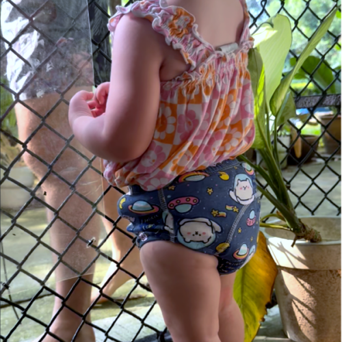 Potty Training Underwear