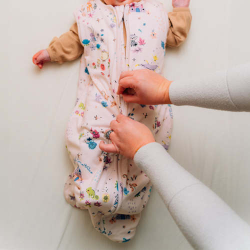 Disney Sleep Bag - A Wish Come True – Milk Snob