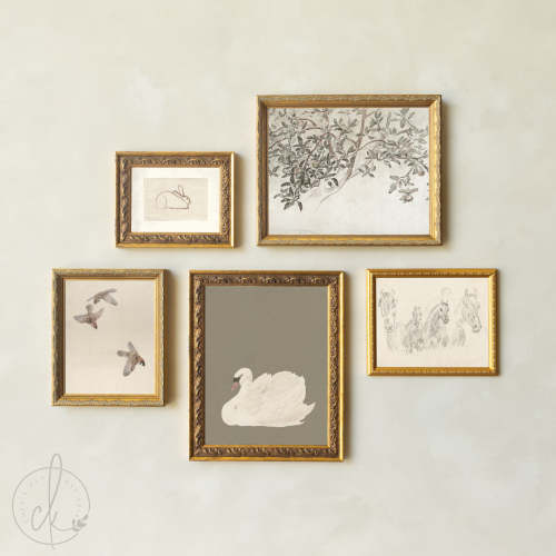 Nursery Wall Art Gallery | Vintage Animal and Botanical Prints