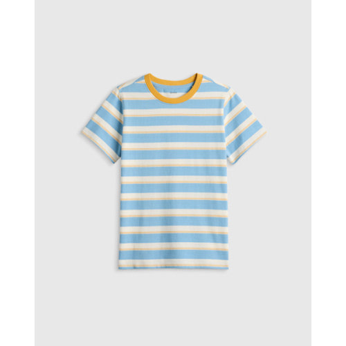 100% Organic Cotton Jersey Short Sleeve Tee in Large Multi Blue Stripe