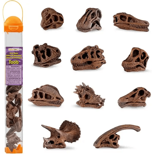 Safari Ltd Dinosaur Skulls TOOB - 11 Mini Figurines Including Velociraptor, Brachiosaurus, Oviraptor, Triceratops, Tyrannosaurus Rex and More - Educational Toy Figures for Boys, Girls & Kids Ages 3+