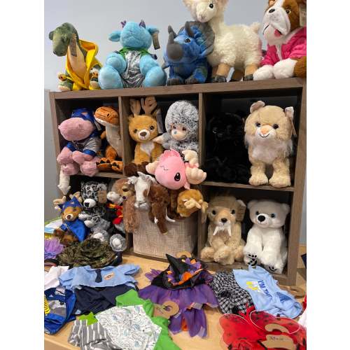 Toys & Gifts & Books gift card
– Local Boutique Kids in Zelienople pa