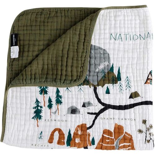 Amazon.com: CLEMENTINE KIDS Reversible Quilts (National Parks) : Baby