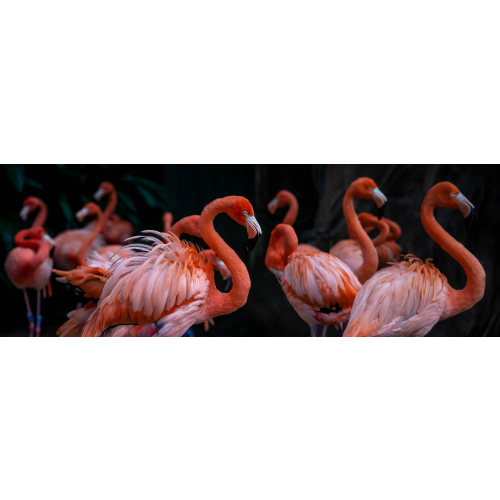 Membership - New Orleans, LA - Audubon Nature Institute