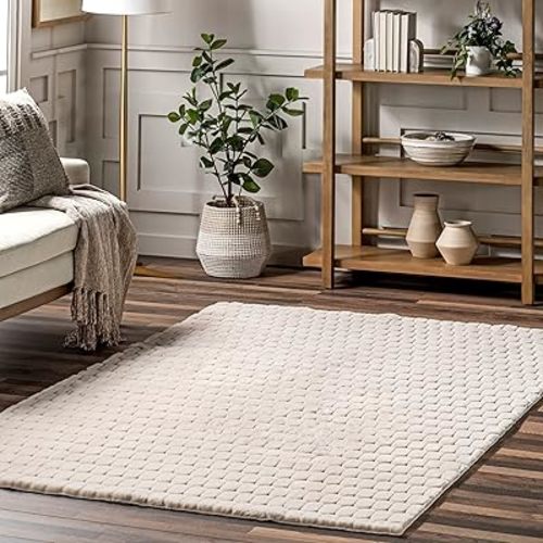 nuLOOM 4' x 6' Cozy Plush SuperiorWash Area Rug, Machine Washable, Non-Slip, Soft Fluffy Shag Carpet for Living Room Bedroom Kids Room Nursery Home Decor, Nia Beige