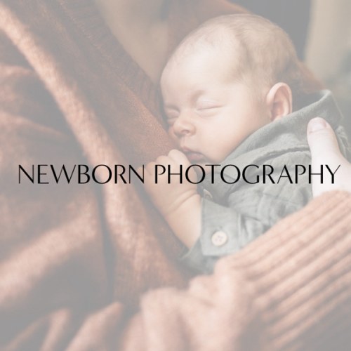 Newborn Photographer Session