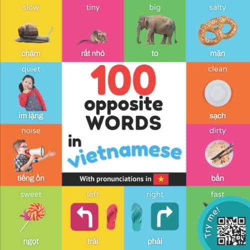 100 opposite words in vietnamese: Bilingual picture book for kids: english / vietnamese with pronunciations (Learn vietnamese)