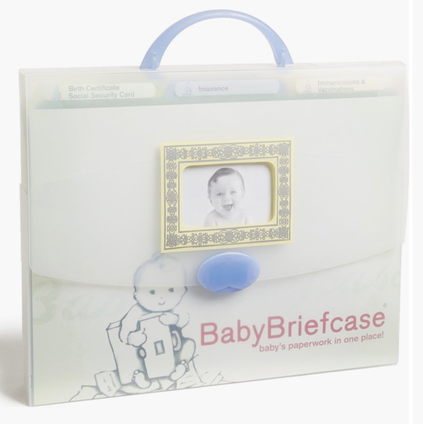 Baby Briefcase Paperwork Organizer